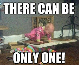 funny quote about fight fighting sayings cute animal fights