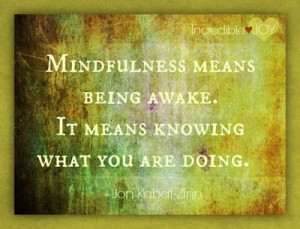 Mindfulness means being awake
