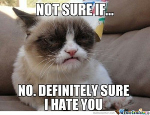 Funny Cats | Top 49 Most Funniest Grumpy Cat Quotes