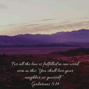 show someone some love today. ♡