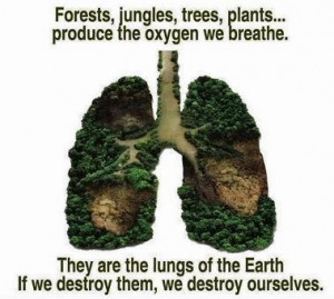Health quote,images,health tips,save trees