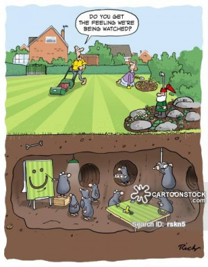 Cutting The Grass cartoons, Cutting The Grass cartoon, funny, Cutting ...