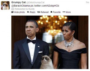 Grumpy Obama - Grumpy Cat Fanart
