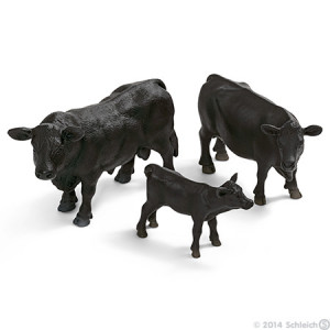 Registered Black Angus Cow