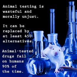 Arguments against animal testing