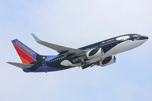 Quinn » Mixtape Jaws Tattoo Download Plans Orca Model When 20 picture