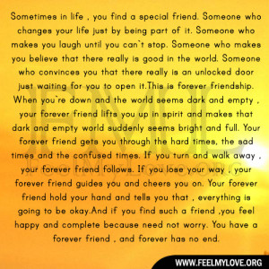Sometimes in life , you find a special friend