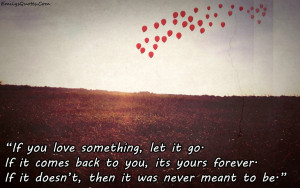 25 Sad Quotes About Letting Go