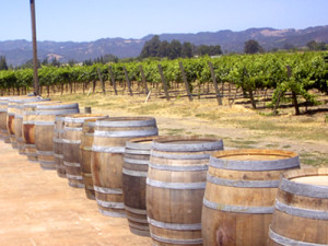 Sample Wine Country Private Charter Quote: