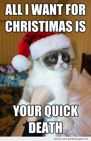 grumpt angry cat lolcat animal santa hat all want xmas christmas quick ...