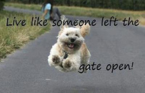 Dog quote from Charlie the Dog on Facebook