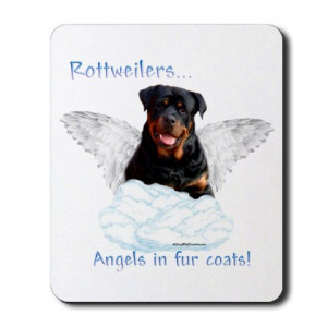 ... happy rottweiler the most friendly cute funny dog and pup angels