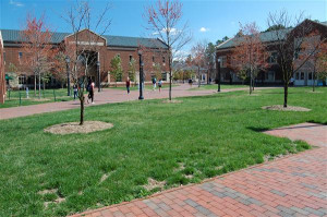 University of North Carolina at Chapel Hill Campus