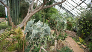 ... By leaves we live