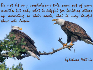 Eagles with Quotes