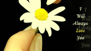 Love quotes for share on Facebook quotes a lot of