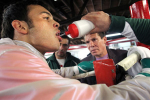 Julio Cesar Chavez Quotes