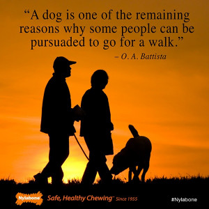 The walking your dog enriches the bond between you and your dog & is ...