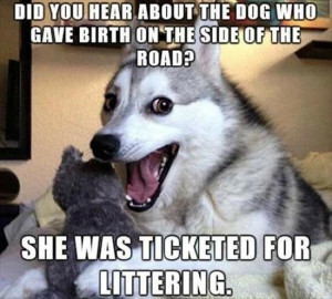 one liner dog jokes
