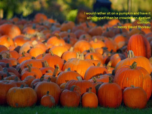 First Day Of Autumn Quotes Some autumn quotes