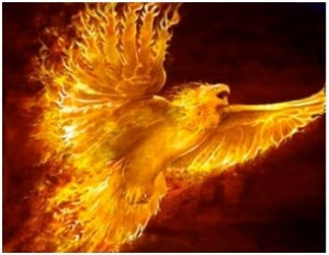 quotes about the phoenix bird