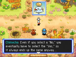 Pokemon Mystery Dungeon Quote