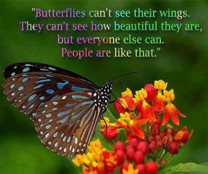 Butterflies Can’t See Their Wings