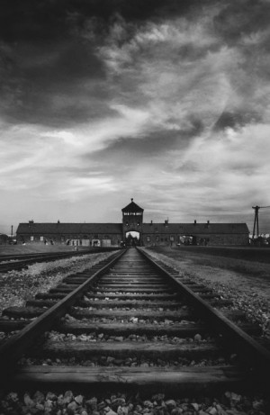 History polish remember Holocaust Poland Adolf hitler Jews ...