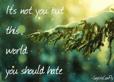 Scars - SayWeCanFly More