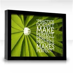 practice doesn't make perfect quote - Bing Images