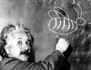 Albert Einstein Bees on the Blackboard