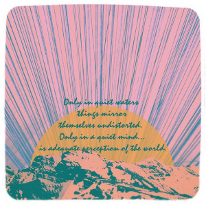 adequate perception ~ quote