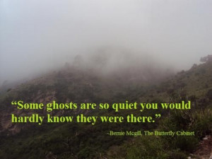 Via P.I.B.I. Paranormal Club