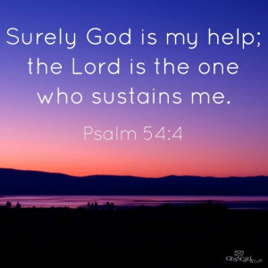 Pinned by Sondra D Scott