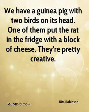 birds flying quotes