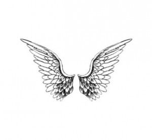 angel, angel wings, cute, overlay, wings