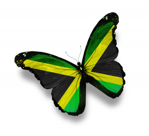 Jamaican flag butterfly, isolated on white