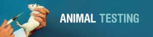 procter and gamble animal testing policy