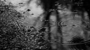 Rain-drops-falling