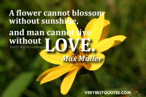 Love quotes - A flower cannot blossom without sunshine, and man cannot ...