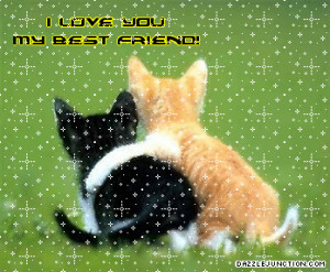 Cute Animals Best Friend Comment Graphic: Picture, Image