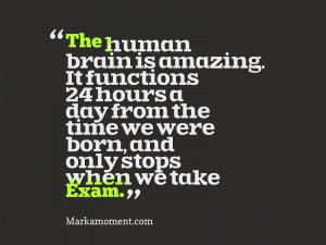Funny Exam Quotes, Motivational Articles