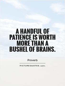 handful of patience is worth more than a bushel of brains.