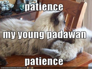 Patience Young Padawan Meme