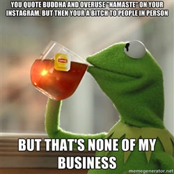 Kermit The Frog Drinking Tea - You quote Buddha and overuse 