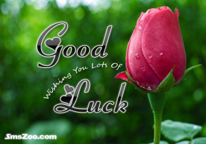 Before You Start Your Work, Let Me Tell You