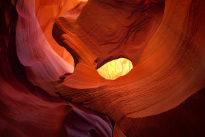 Usa Eagle Image Search Results