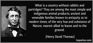 ... , nearest allied to leaves and to the ground. - Henry David Thoreau