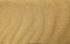 Grains Sand Grayish Wet
