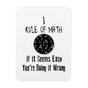 Nr 1 rule of Math Vinyl Magnet